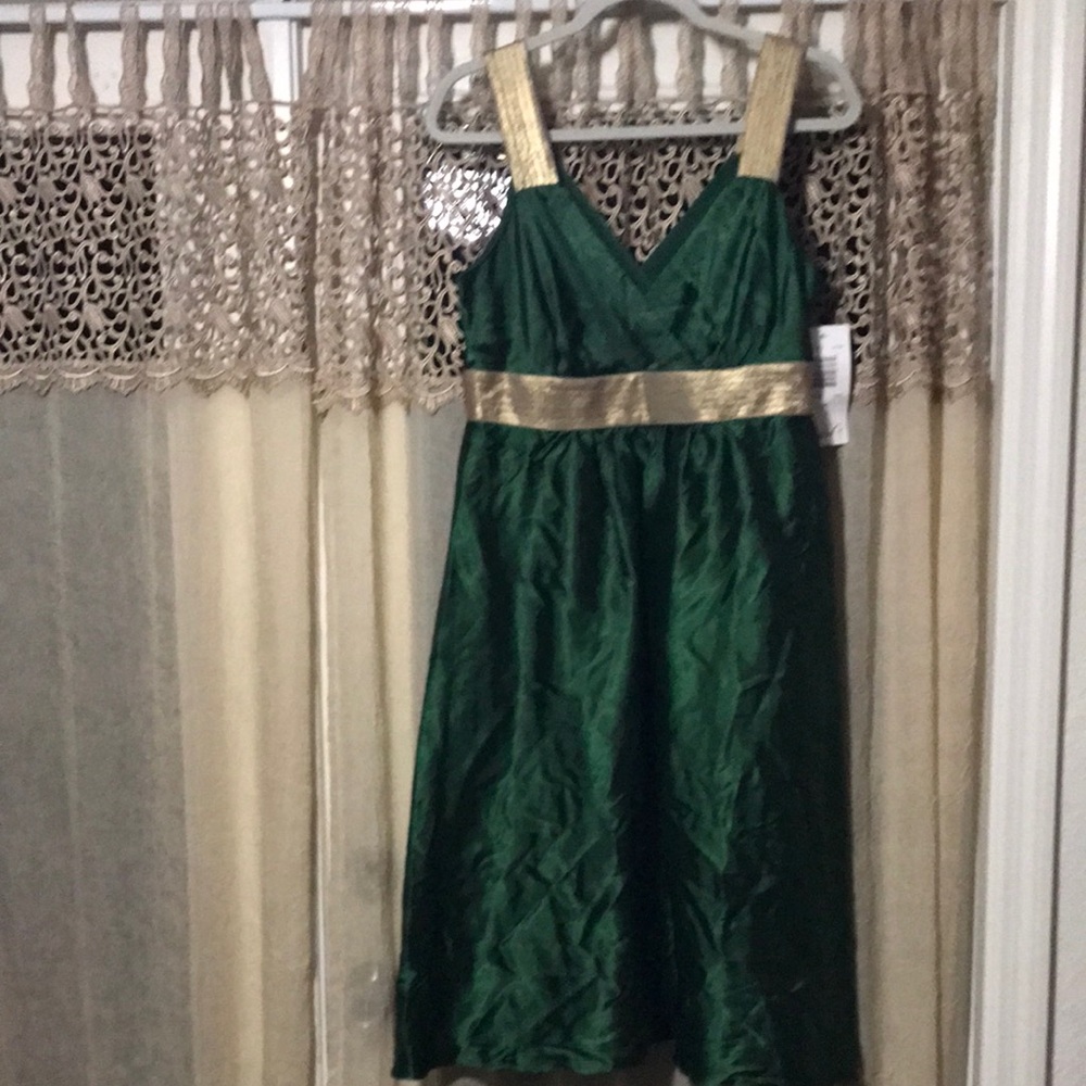 Signature by Robbie Bee Dress